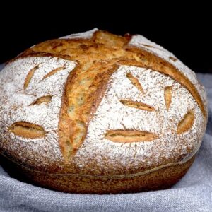 Atelier Pain & Levain Bio – Fermentation lente Respectus Panis – 07 mars 26